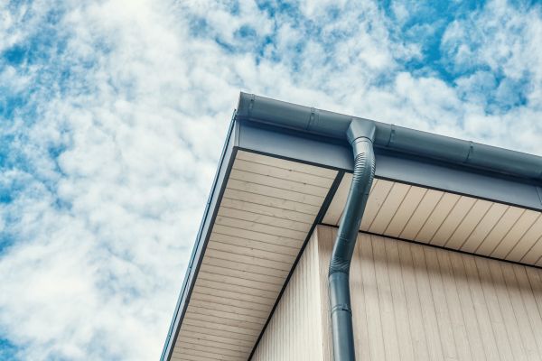 Gutter Fascia Repair in Lady Lake