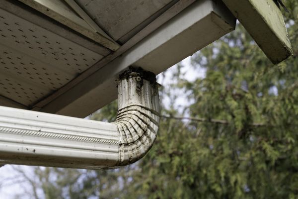 Cost of Roof Drain Replacement in Lady Lake