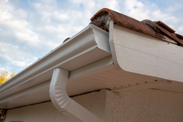 Cost of K Style Gutter Replacement in Lady Lake