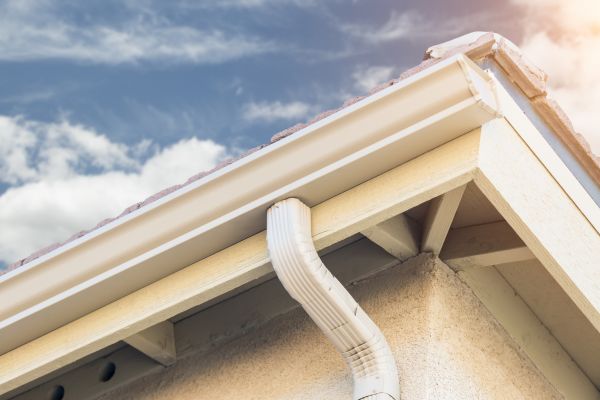 Seamless Gutter Replacement in Lady Lake