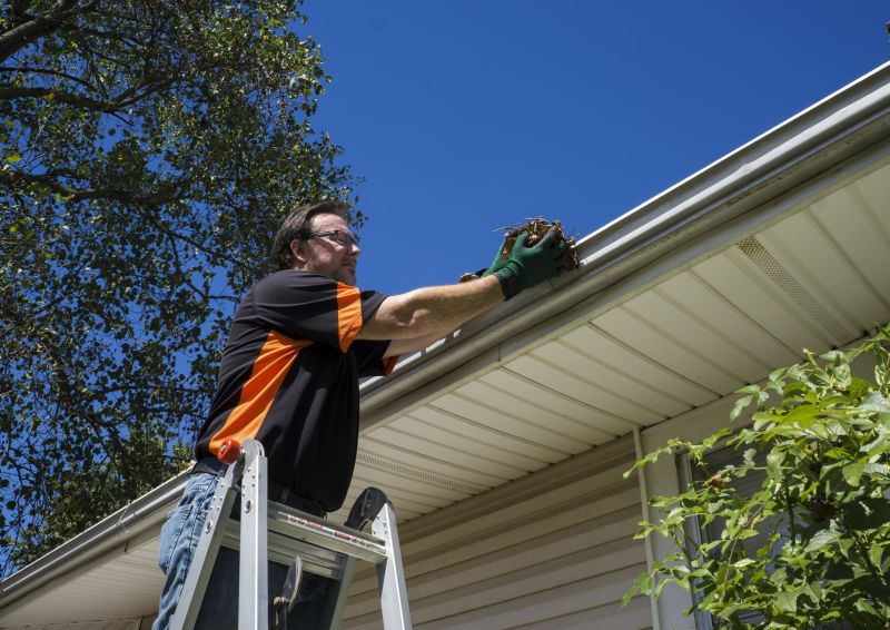 Preventative Gutter Care